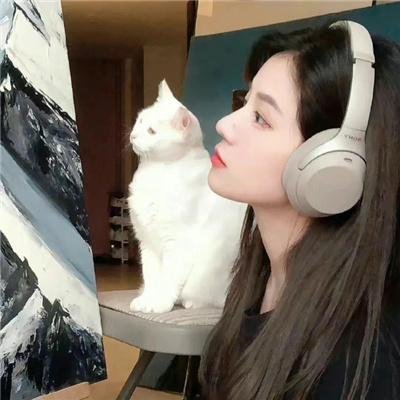 绿色合伙人